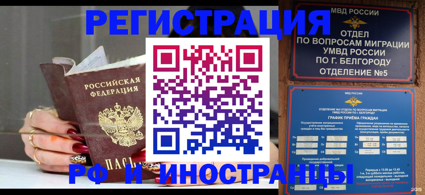 прописка в Луге
